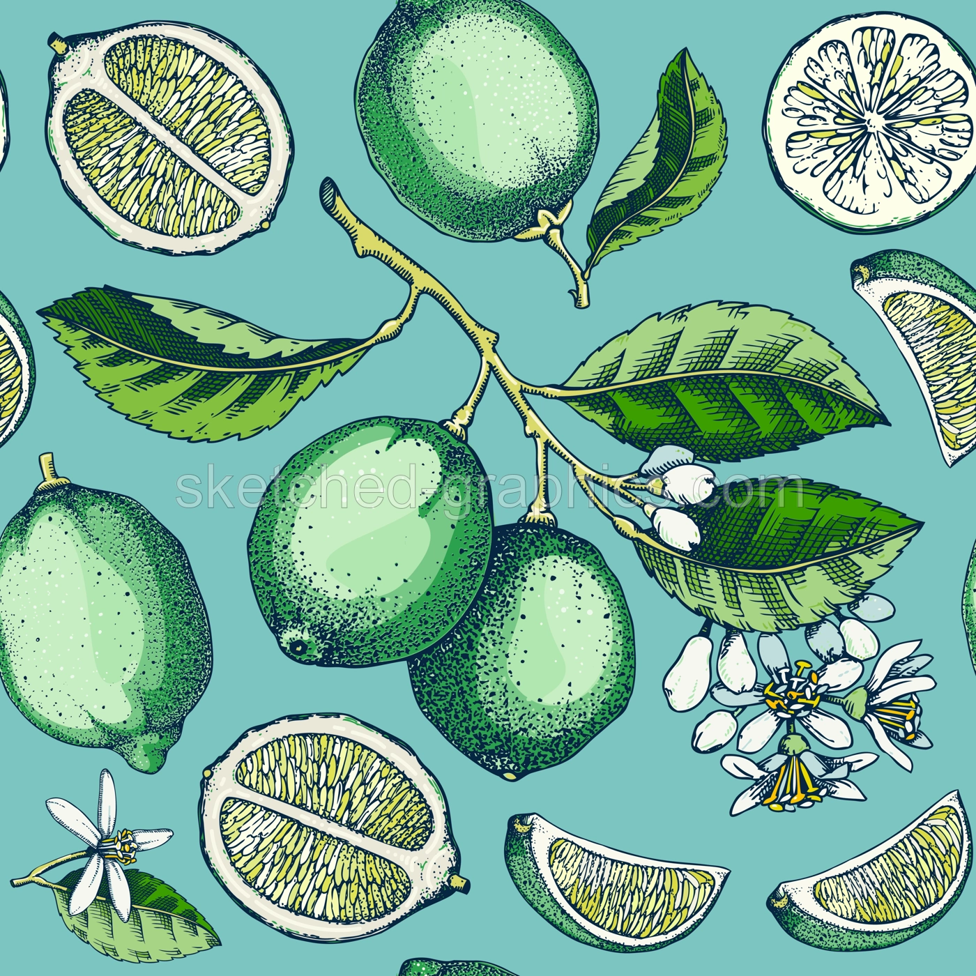 Decorative citrus fruit seamless pattern. Lime fruit sketches. Watercolor style botanical background. Exotic plants texture. Hand drawn vector illustration. NOT AI generated Illustration